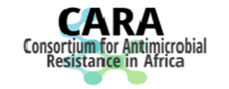 Logo; Consortium for Antimicrobial Resistance in Africa
